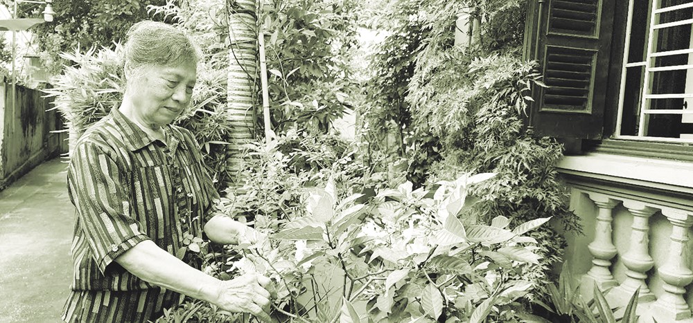 Phụ nữ thi đua “giữ nhà, xây tổ ấm” - ảnh 1