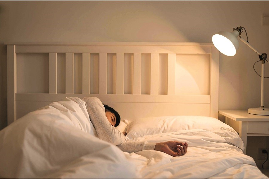 Hai chiếc giường trong phòng ngủ của bố mẹ - ảnh 1