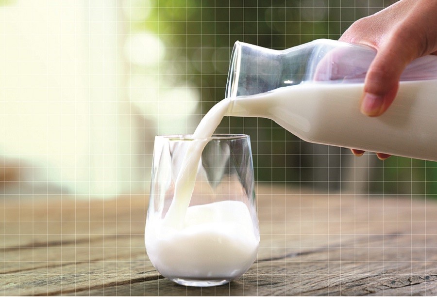 Uống sữa tươi bị tiêu chảy, vì sao? - ảnh 1