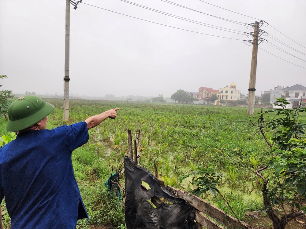 Hà Nội: Khẩn trương làm khu tái định cư Tân Châu để GPMB bằng đường Vành đai 4  ​ - ảnh 1