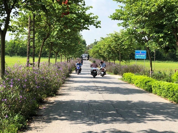 Huyện Sóc Sơn phấn đấu đưa 3 xã về đích nông thôn mới kiểu mẫu năm 2023 - ảnh 1