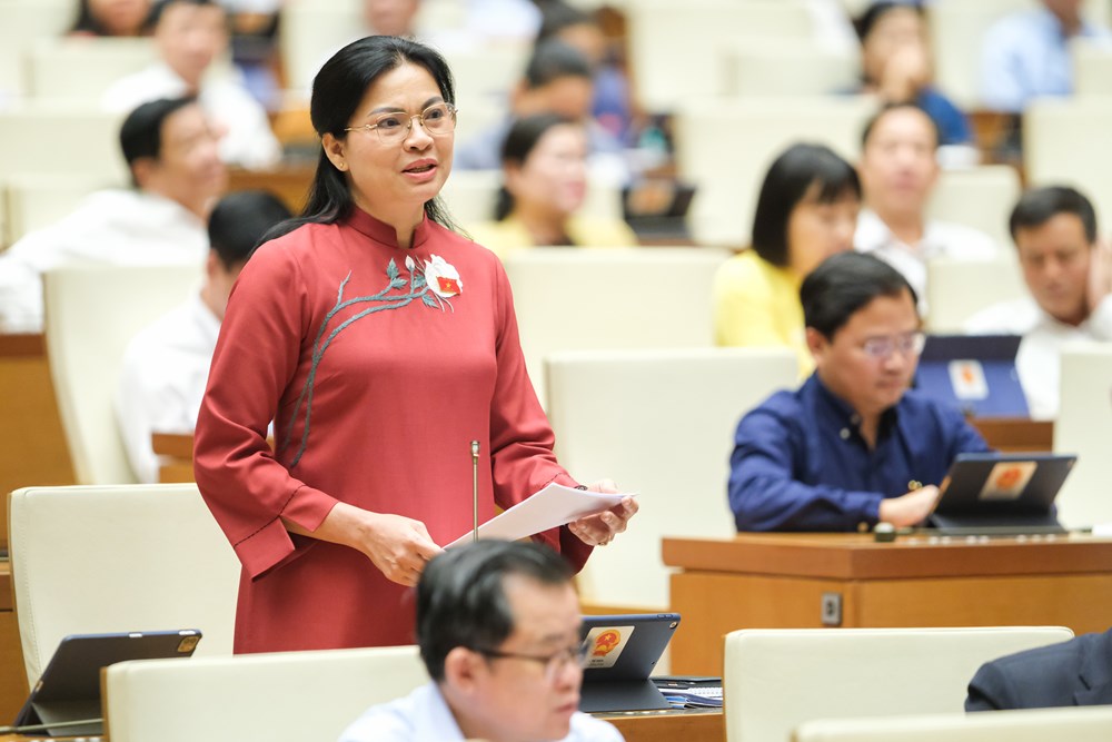 Chủ tịch Hội LHPN Việt Nam Hà Thị Nga nêu 5 đề xuất để hoàn thiện dự thảo Luật - ảnh 1
