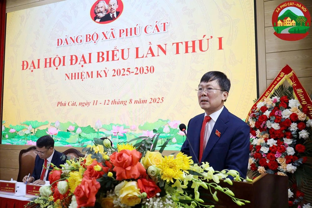 Xây dựng Phú Cát trở thành xã văn hóa tiêu biểu - ảnh 2