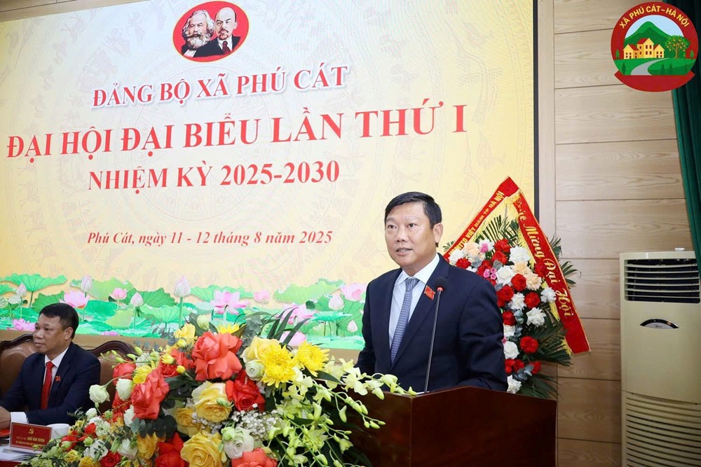 Xây dựng Phú Cát trở thành xã văn hóa tiêu biểu - ảnh 7