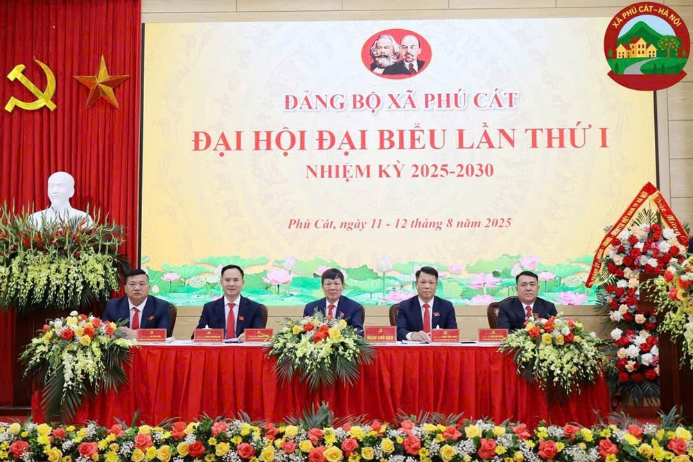 Xây dựng Phú Cát trở thành xã văn hóa tiêu biểu - ảnh 3