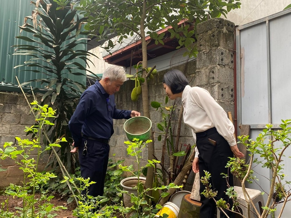 Hà Nội: Đẩy mạnh tổng vệ sinh môi trường phòng chống sốt xuất huyết - ảnh 1