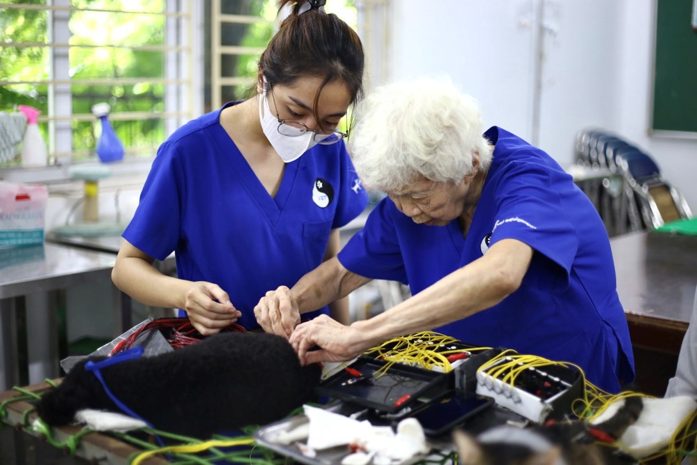 Những nữ sinh viên thực hiện công việc châm cứu cho các “bệnh nhân” đặc biệt - ảnh 13