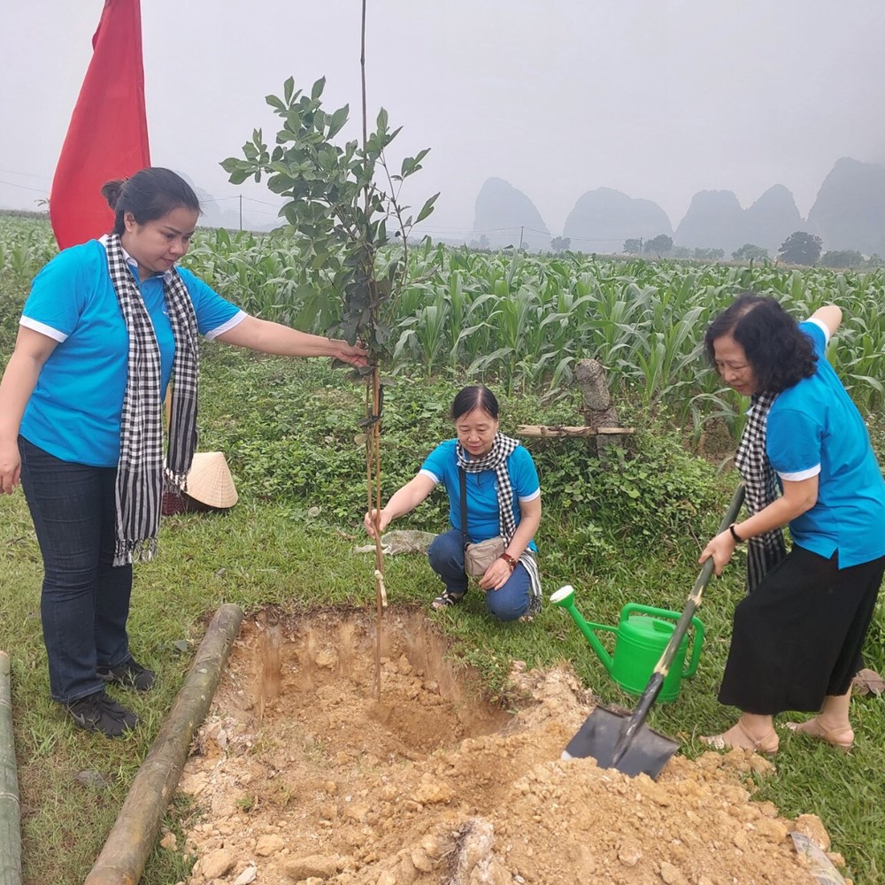 Tặng công trình đường hoa, tặng tủ sách cho học sinh dân tộc thiểu số ở Nghệ An - ảnh 2