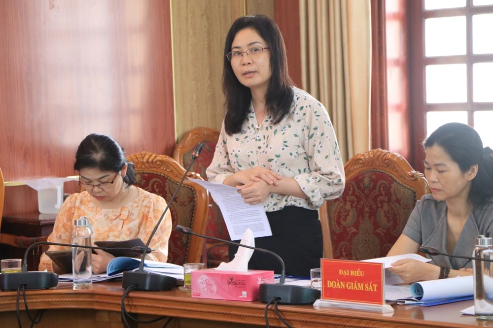 Tăng cường trách nhiệm của chính quyền trong thực thi chính sách liên quan đến phụ nữ - ảnh 3