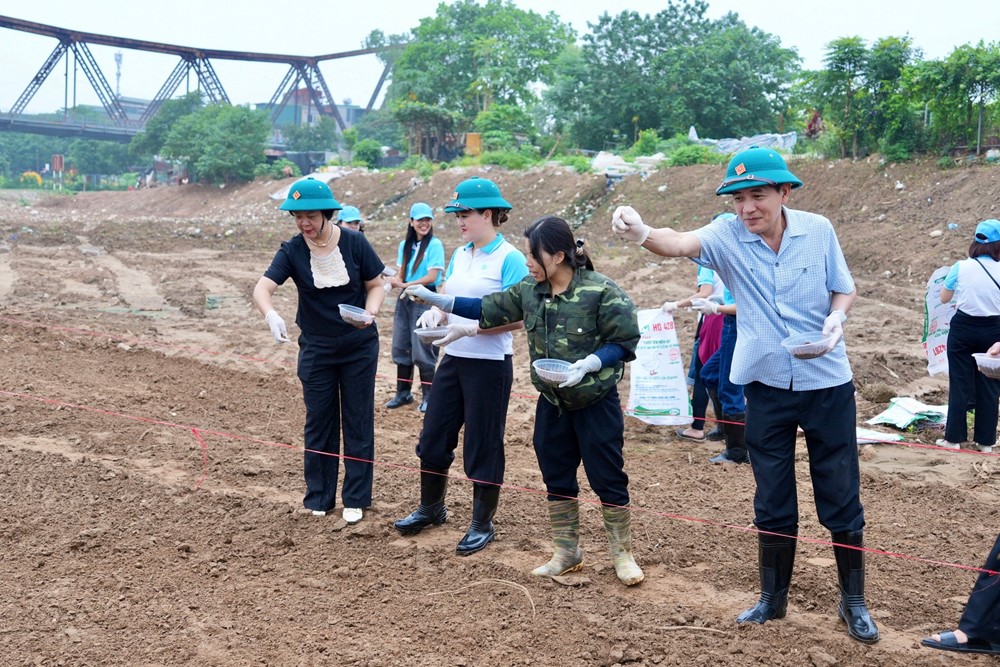 Hội LHPN quận Ba Đình: Quyết tâm biến khu vực bờ vở sông Hồng thành điểm sáng về bảo vệ môi trường - ảnh 3