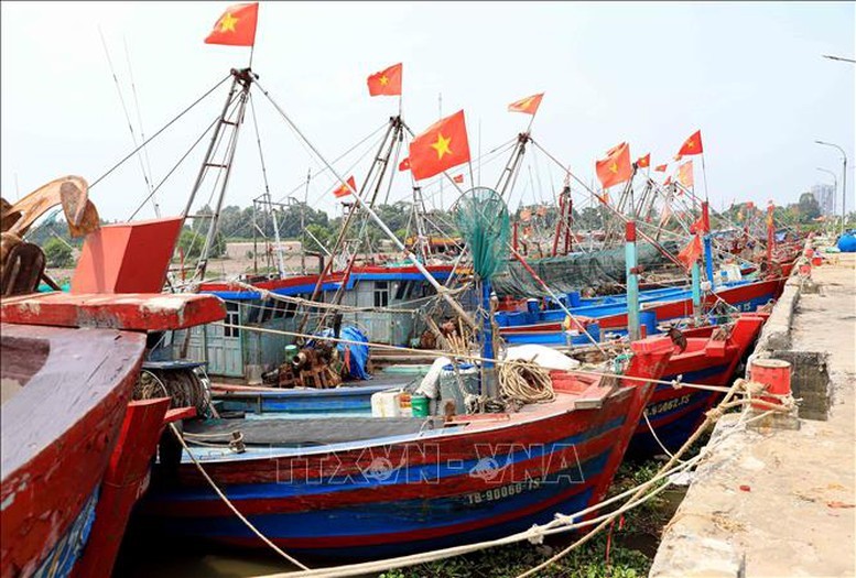 Tập trung cao cho công tác ứng phó với bão số 3 - ảnh 3