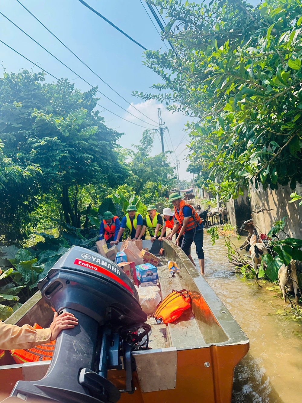 Hội LHPN xã Thư Lâm: Lan tỏa tinh thần đại đoàn kết – sẻ chia cùng các hộ dân vùng ngập lũ - ảnh 5
