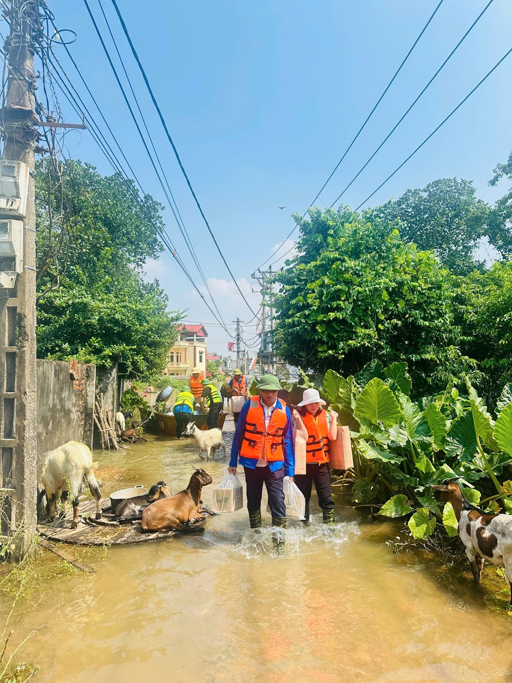 Hội LHPN xã Thư Lâm: Lan tỏa tinh thần đại đoàn kết – sẻ chia cùng các hộ dân vùng ngập lũ - ảnh 4