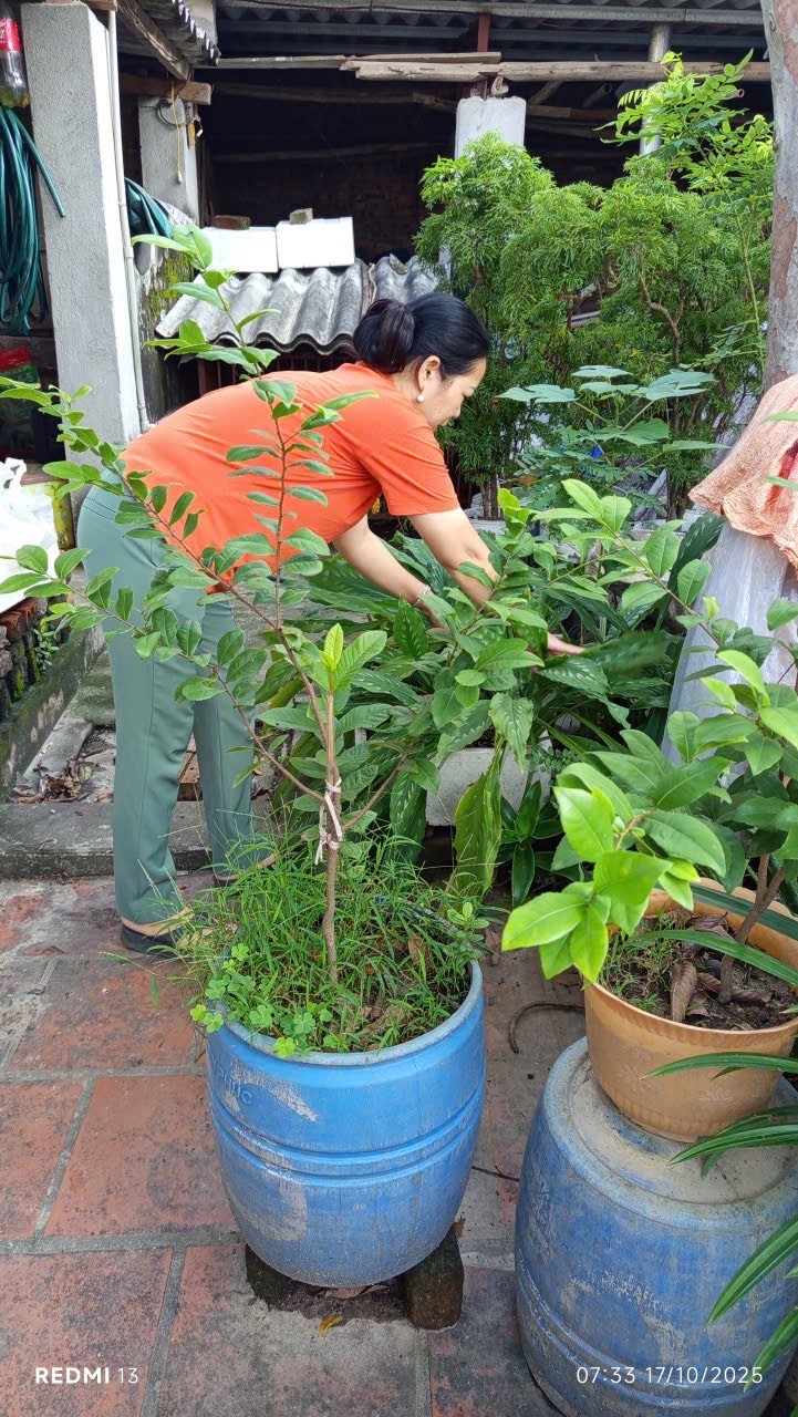 Sôi nổi hoạt động kỷ niệm ngày 20/10 của phụ nữ xã Thư Lâm - ảnh 11