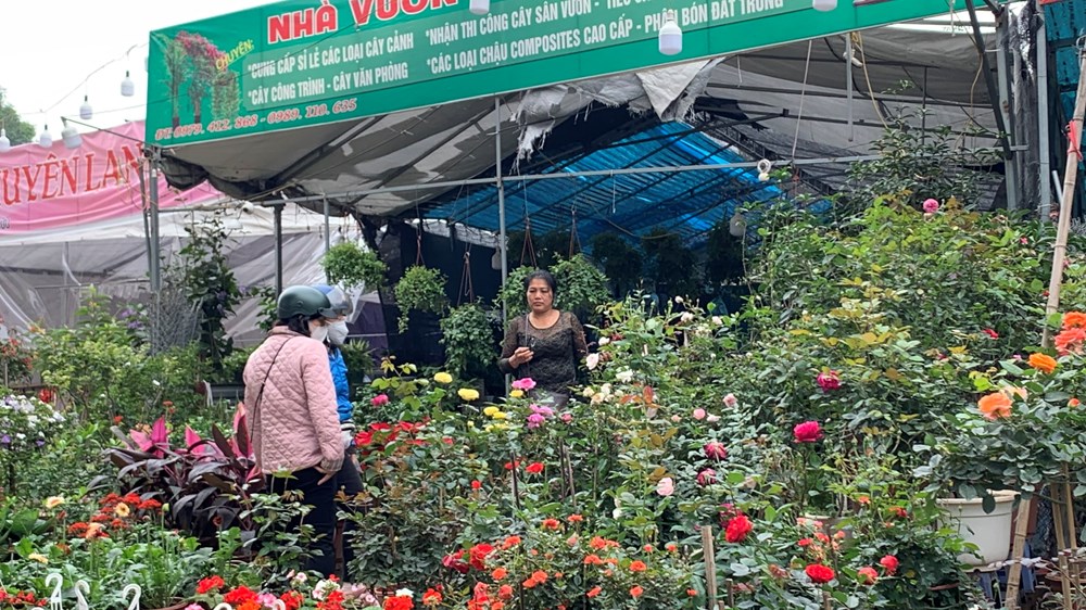 Hà Nội: Sôi động thị trường hoa, cây cảnh  - ảnh 1