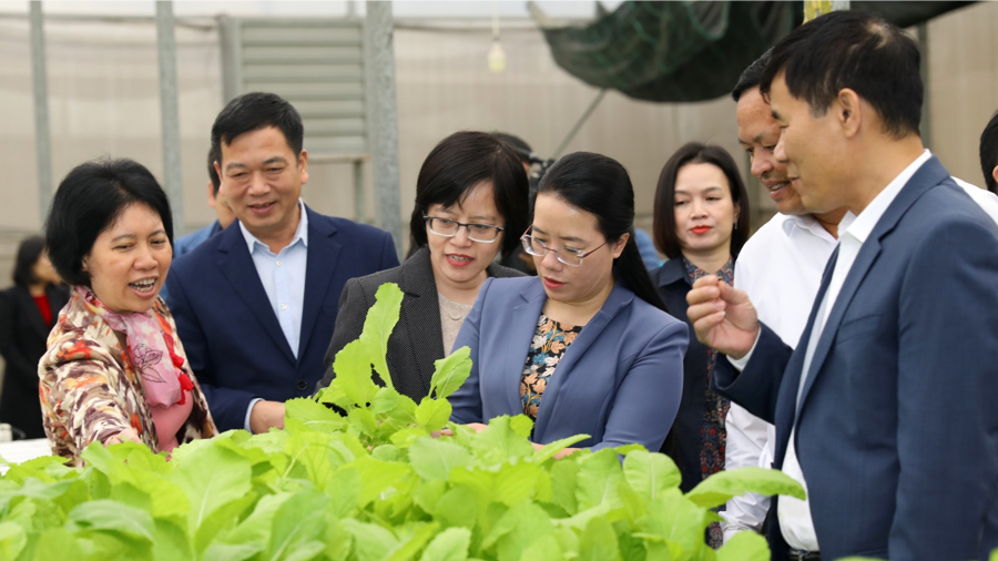 Giám sát việc thực hiện chính sách phát triển nông nghiệp tại huyện Gia Lâm - ảnh 3