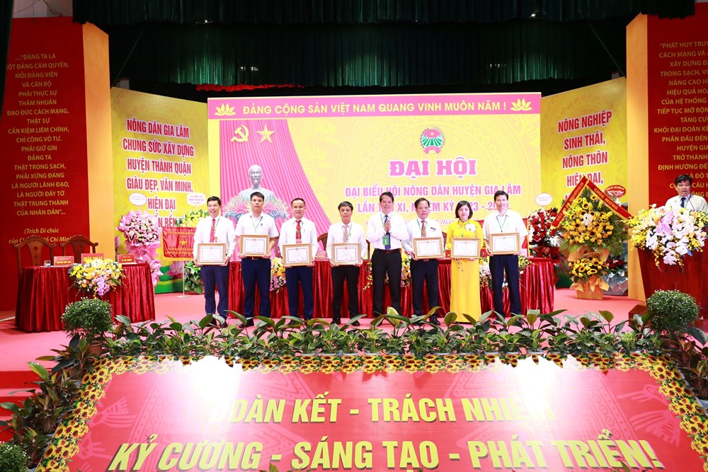 Đại hội Hội nông dân huyện Gia Lâm lần thứ XI thành công - ảnh 4