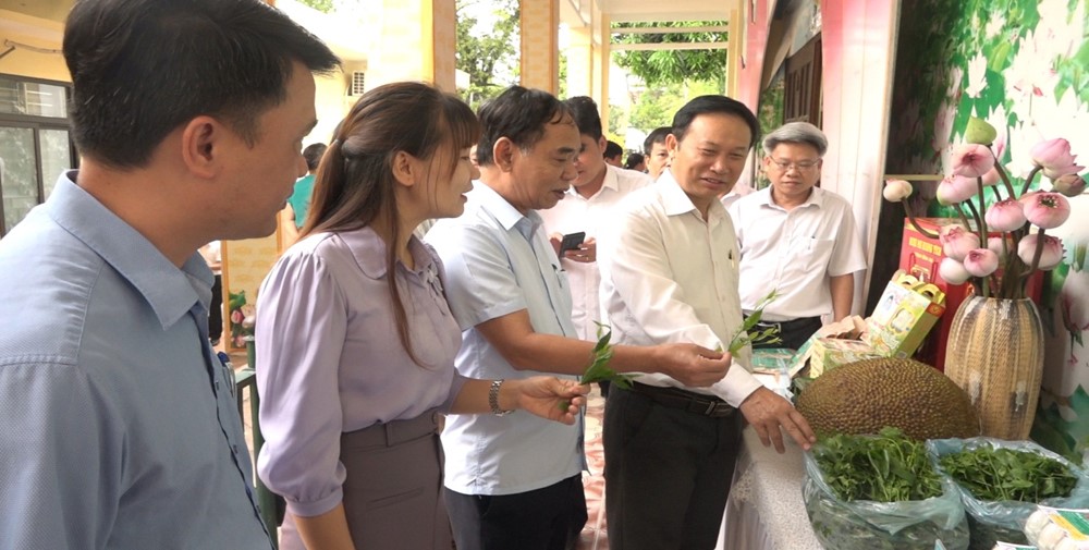 Hiệu quả từ những mô hình khuyến nông mang lại giá trị kinh tế cao - ảnh 2