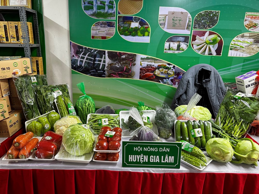 Hơn 100 sản phẩm nông nghiệp an toàn được giới thiệu với người tiêu dùng Thủ đô - ảnh 3