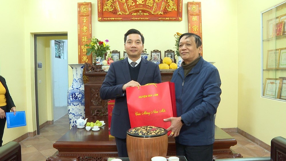 Đảng bộ huyện Gia Lâm trao tặng huy hiệu Đảng cho 199 đảng viên - ảnh 6