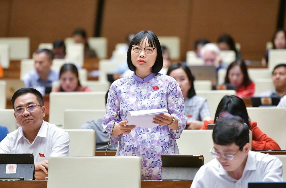 Đảm bảo quy định đủ nghiêm khắc, đủ nhân văn với người chưa thành niên phạm tội - ảnh 2