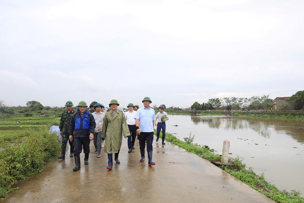 Chủ tịch HĐND TP Nguyễn Ngọc Tuấn kiểm tra các tuyến đê tại huyện Thường Tín - ảnh 1