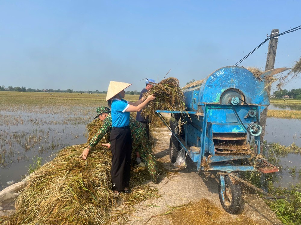 Khôi phục hoạt động sản xuất nông nghiệp sau bão số 3 - ảnh 3