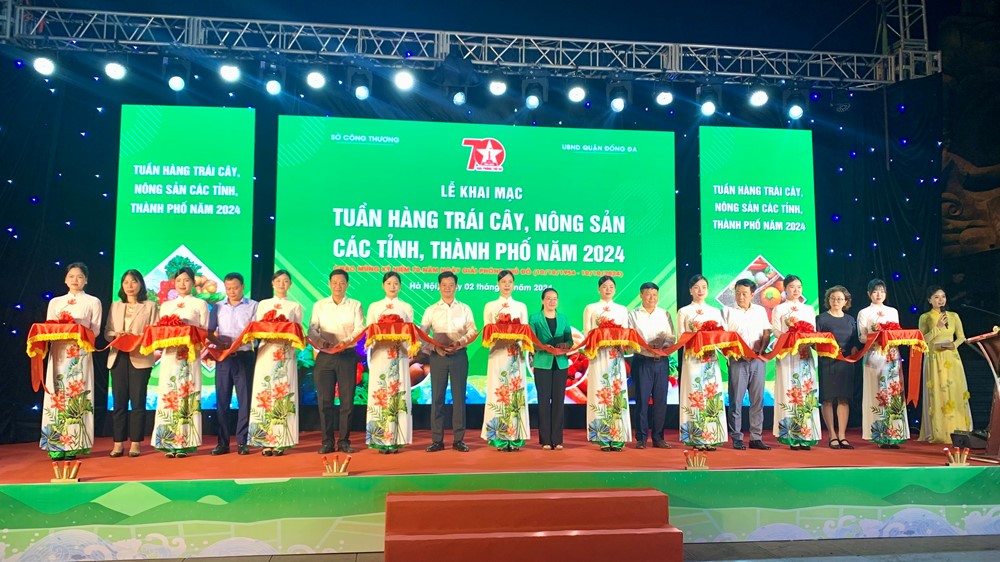 Tuần hàng trái cây, nông sản các tỉnh, thành phố năm 2024 phục vụ người dân Thủ đô - ảnh 2