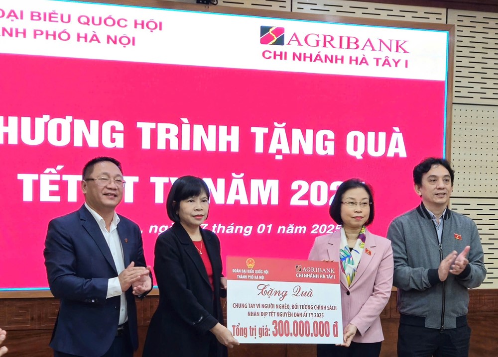 Phó Trưởng đoàn chuyên trách Đoàn đại biểu Quốc hội TP trao quà Tết tại Phúc Thọ, Sơn Tây - ảnh 5