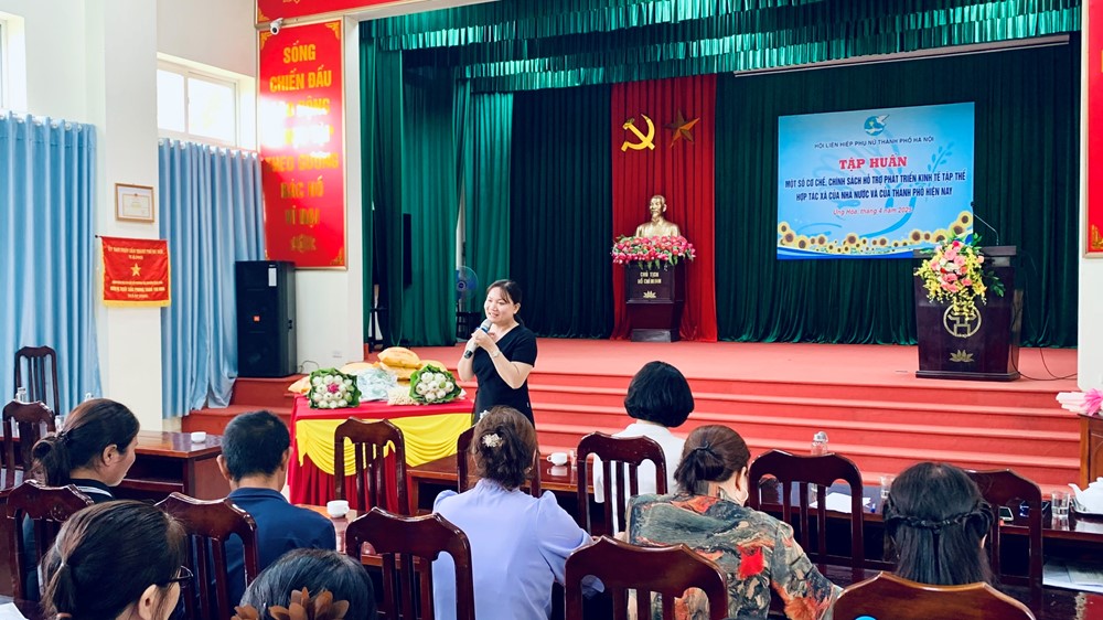 Phụ nữ Ứng Hoà được nâng cao hiểu biết về cơ chế, chính sách hỗ trợ hợp tác xã - ảnh 8