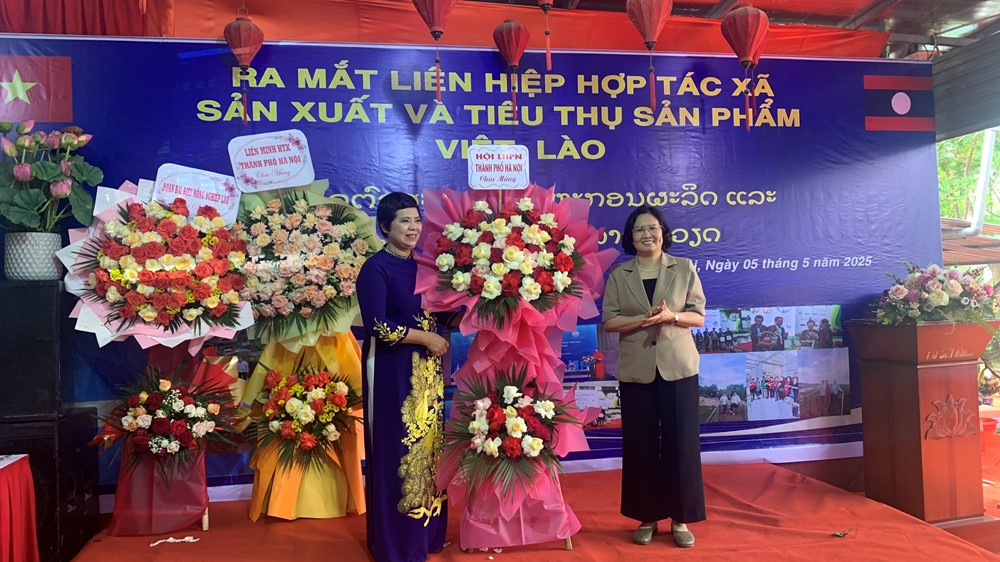 Ra mắt Liên hiệp HTX sản xuất và tiêu thụ sản phẩm Việt - Lào - ảnh 4