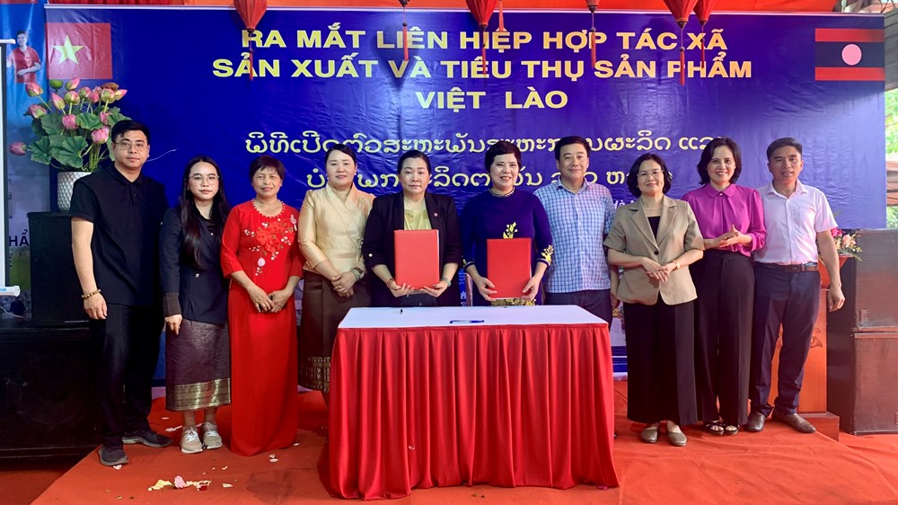 Ra mắt Liên hiệp HTX sản xuất và tiêu thụ sản phẩm Việt - Lào - ảnh 7