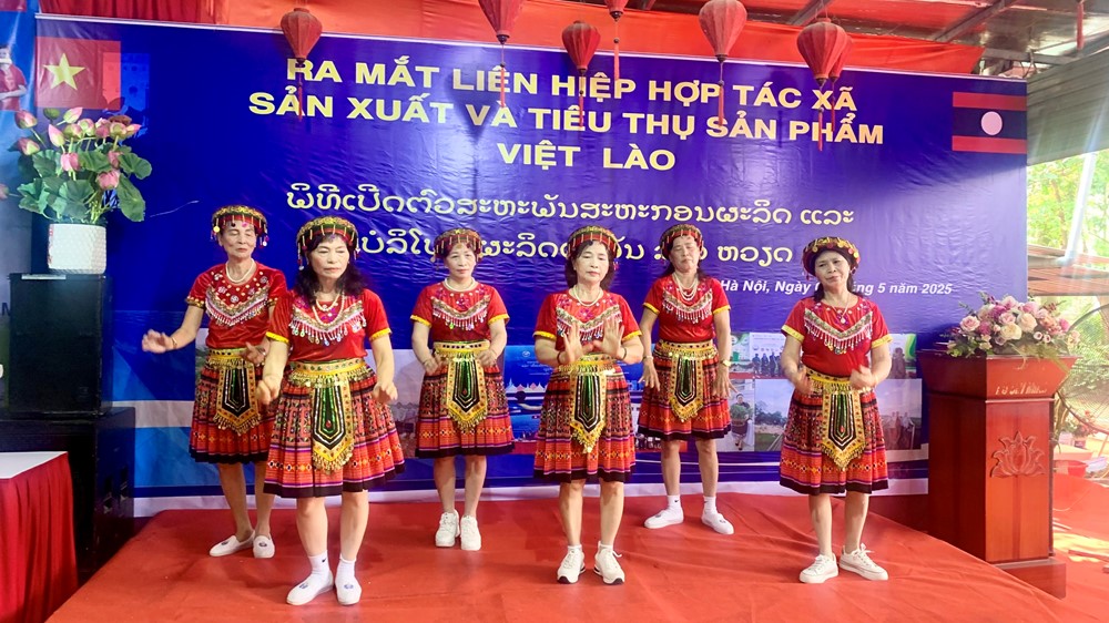Ra mắt Liên hiệp HTX sản xuất và tiêu thụ sản phẩm Việt - Lào - ảnh 2
