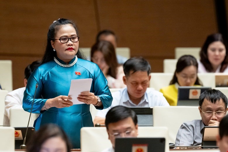 Đại biểu Quốc hội kiến nghị về việc thử nghiệm, chứng nhận, công bố hợp quy đối với sản phẩm, hàng hóa - ảnh 3
