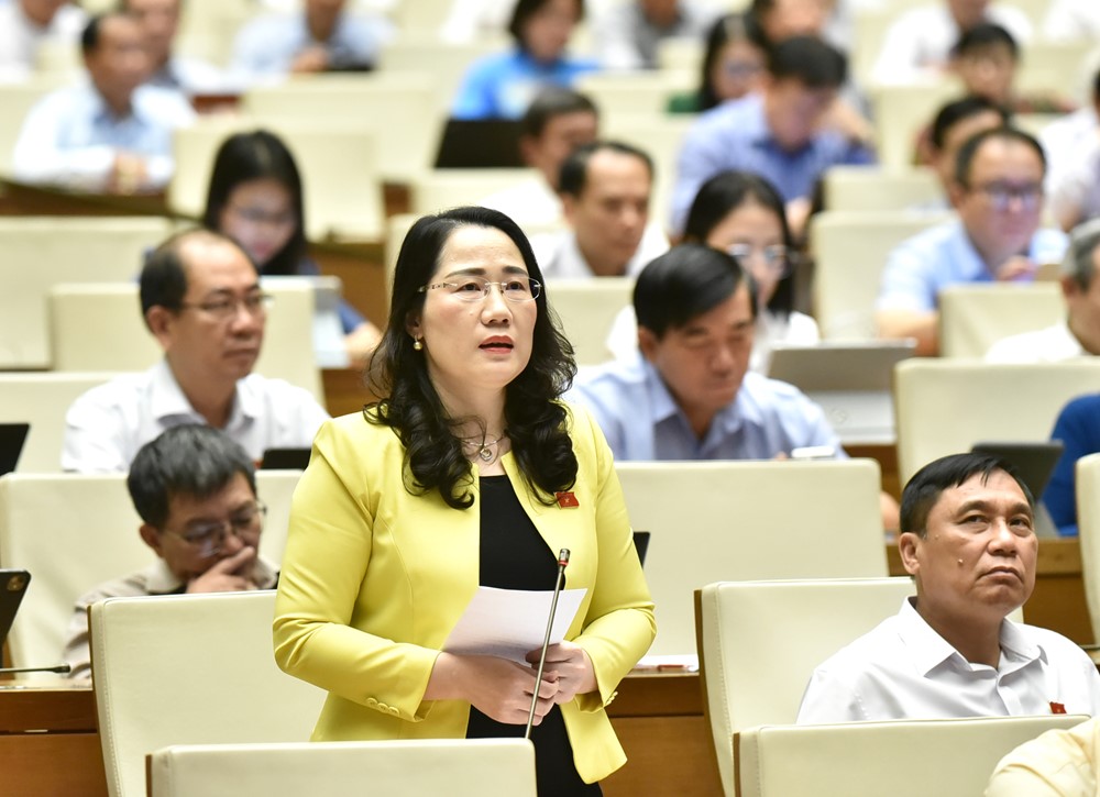 Đề nghị làm rõ mối quan hệ giữa tòa khu vực và cấp tỉnh khi thực hiện chính quyền 2 cấp - ảnh 3