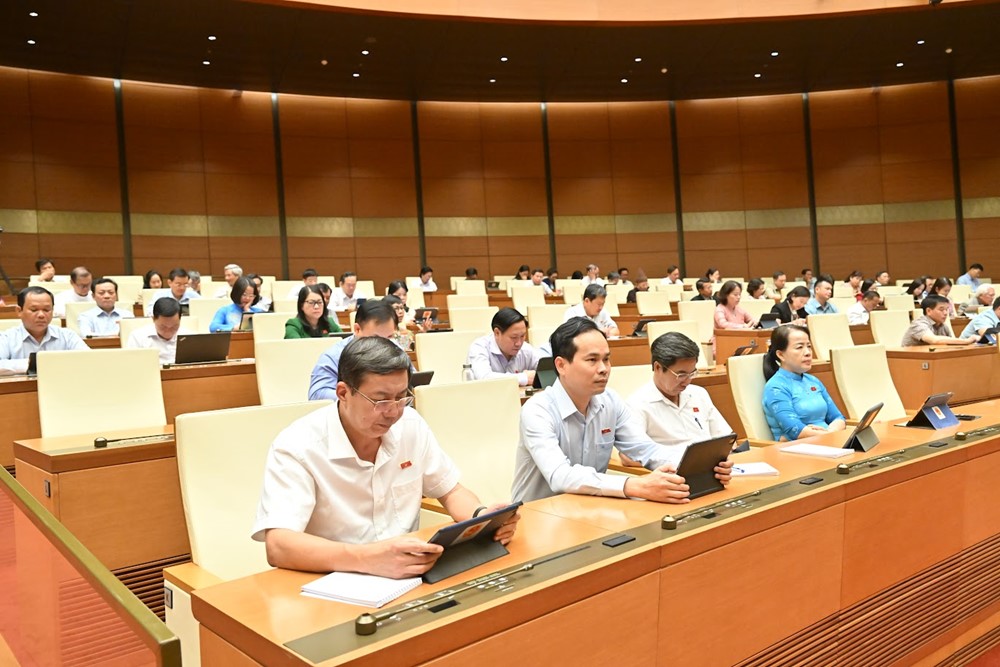 Bảo vệ nhóm người dễ bị tổn thương thể hiện bản chất ưu việt của Nhà nước - ảnh 3