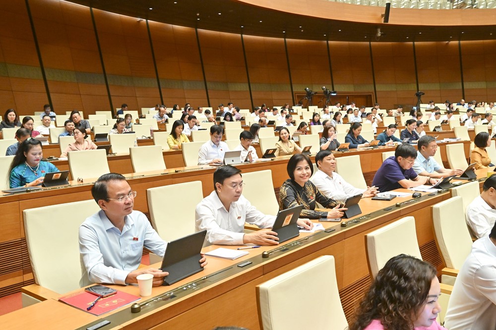Điều chỉnh thẩm quyền quyết định việc cho vay đặc biệt đối với khoản vay có lãi suất 0%/năm - ảnh 3