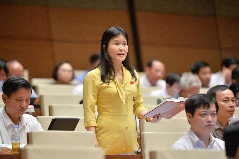 Cần xây dựng lộ trình chuyển đổi toàn bộ hộ kinh doanh sang mô hình doanh nghiệp gắn với xoá bỏ thuế khoán - ảnh 3
