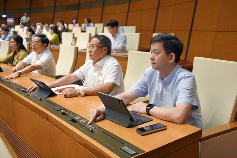 Quốc hội thông qua Luật Quản lý và đầu tư vốn nhà nước tại doanh nghiệp - ảnh 3