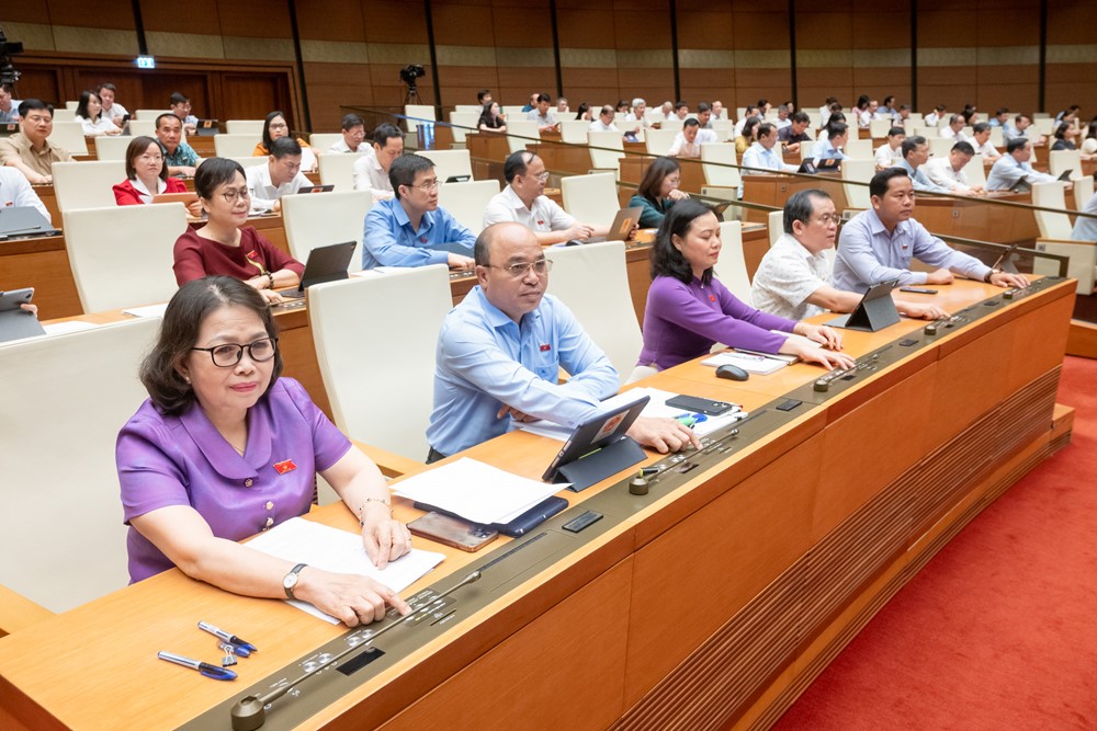 Quốc hội thông qua Luật Thuế Tiêu thụ đặc biệt  - ảnh 3