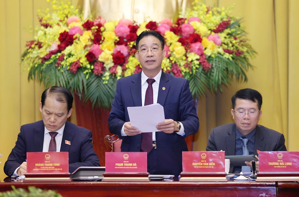 Công bố Lệnh của Chủ tịch nước về Nghị quyết sửa đổi, bổ sung một số điều của Hiến pháp - ảnh 1