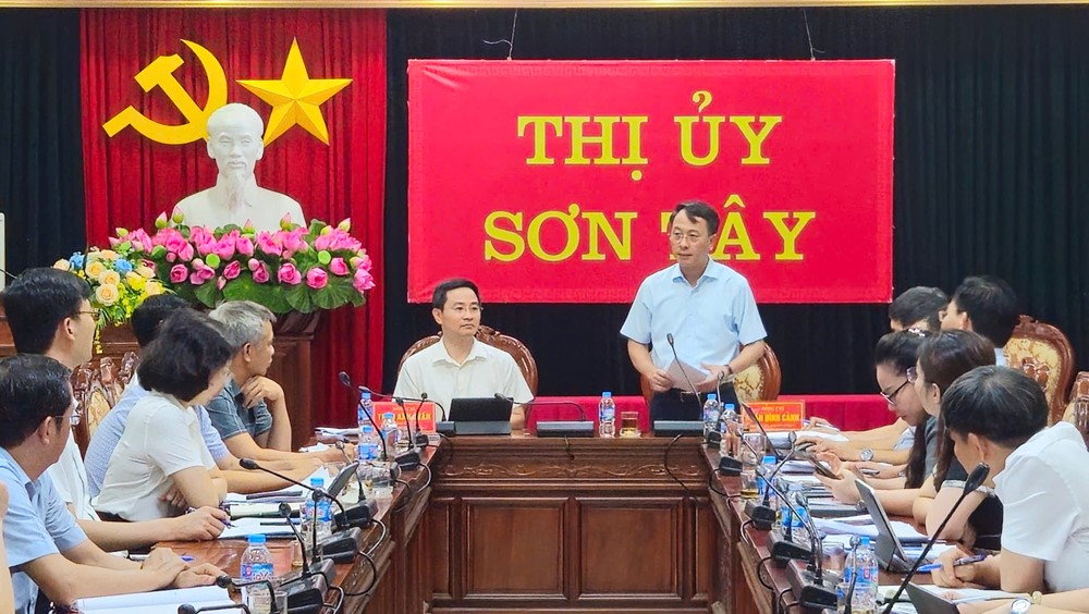 Sơn Tây: Nhiều kiến nghị về cơ sở vật chất, trụ sở, cán bộ để vận hành chính quyền xã mới - ảnh 8