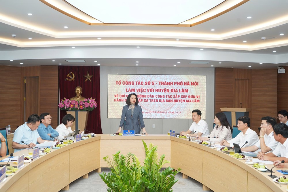 Tổ công tác số 5 TP Hà Nội làm việc với huyện Gia Lâm chuẩn bị vận hành mô hình chính quyền địa phương 2 cấp - ảnh 3