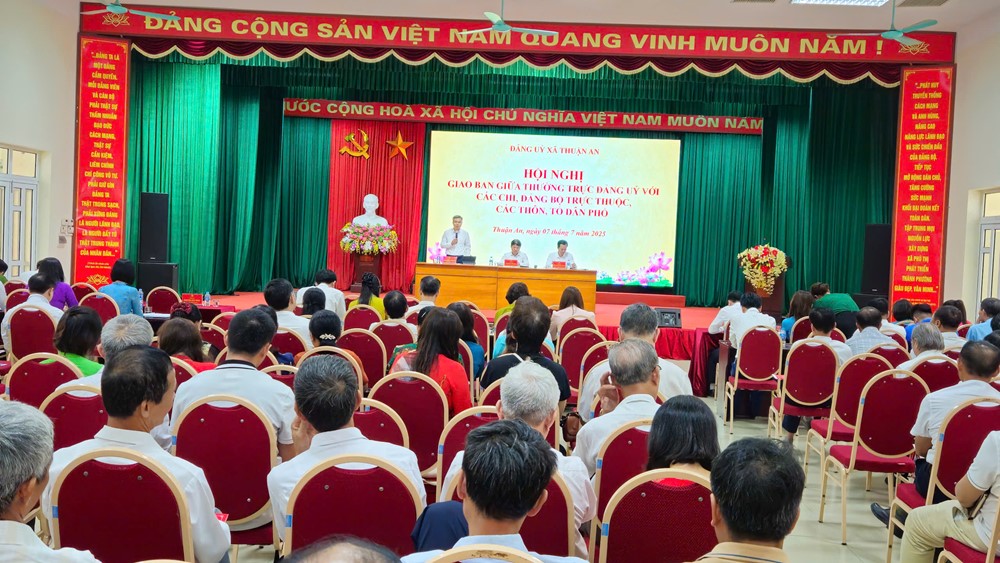Xã Thuận An triển khai kế hoạch tổ chức đại hội chi bộ - ảnh 5