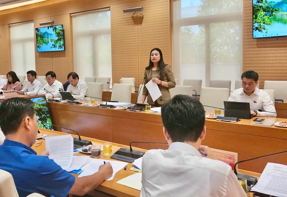Cần giao các di tích thuộc quận huyện quản lý về xã phường quản lý - ảnh 1