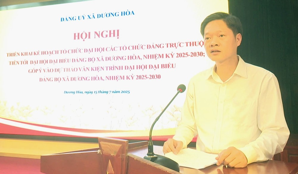 Xã Dương Hoà chuẩn bị kế hoạch tổ chức Đại hội Đảng bộ lần thứ nhất - ảnh 5