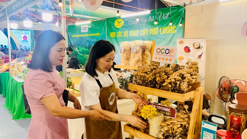 Khai mạc hội chợ các sản phẩm OCOP xuất khẩu VIETNAM OCOPEX 2025 - ảnh 8