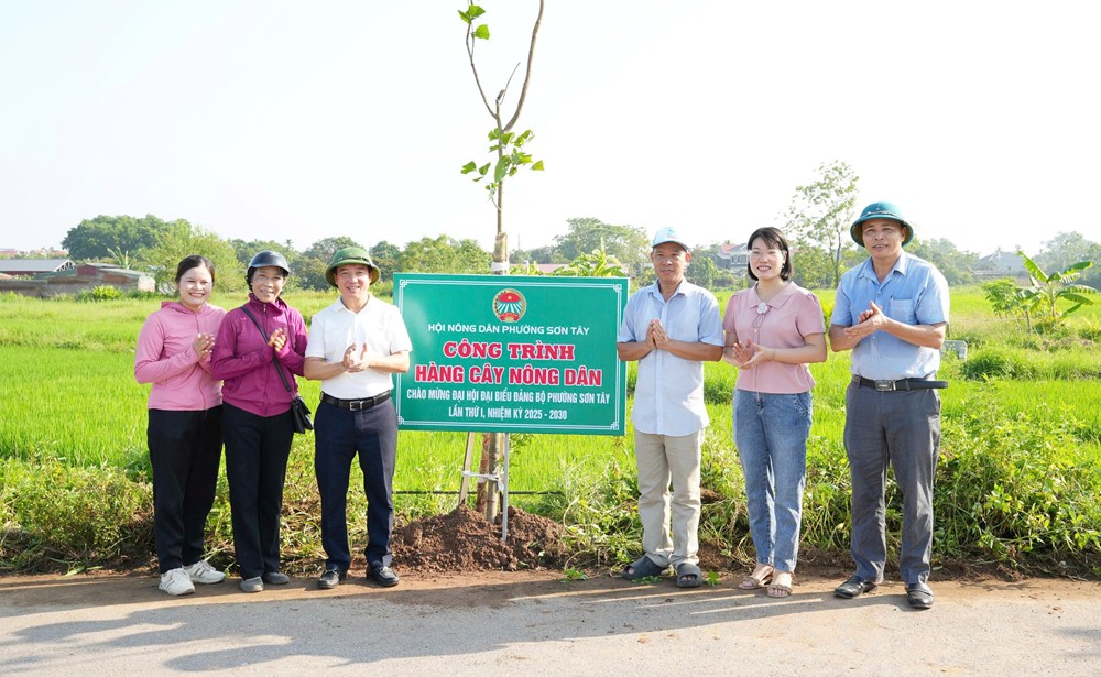 Phường Sơn Tây ra quân vệ sinh môi trường, đảm bả trật tự đô thị và trồng cây xanh - ảnh 6