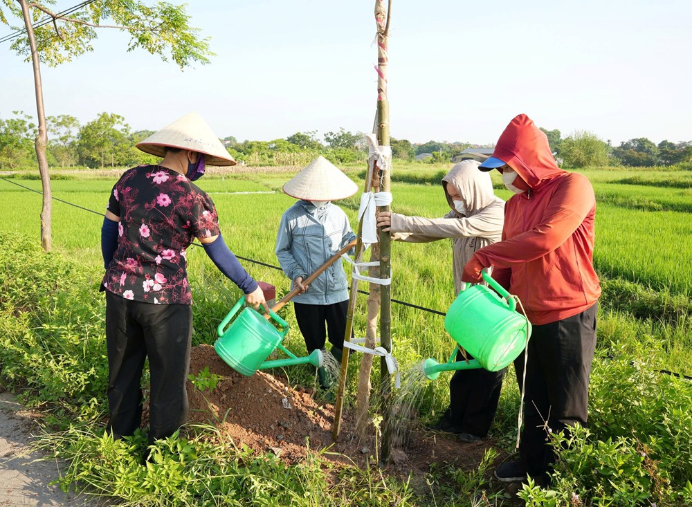 Phường Sơn Tây ra quân vệ sinh môi trường, đảm bả trật tự đô thị và trồng cây xanh - ảnh 8