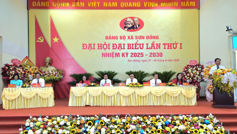 Xã Sơn Đồng sẽ tạo ra không gian mới, những dư địa phát triển mới - ảnh 8